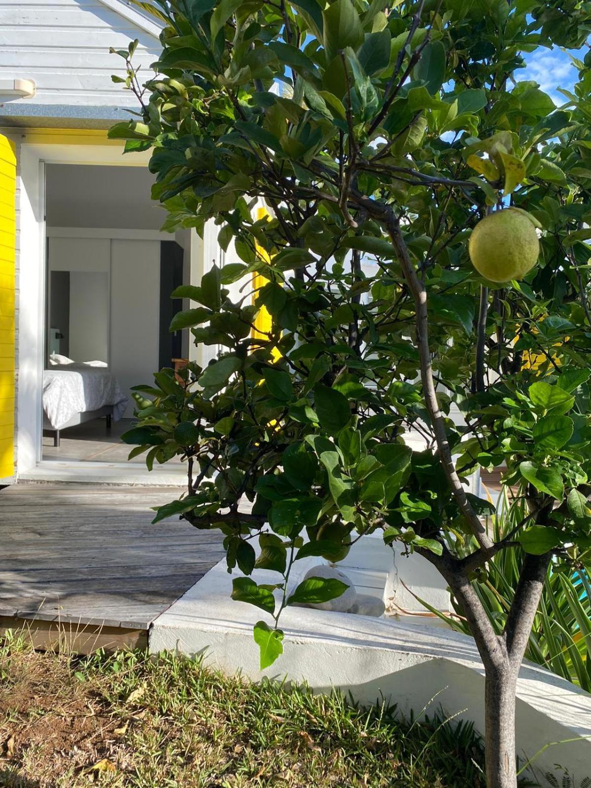 Villa Ylang سان جيل لي بان المظهر الخارجي الصورة